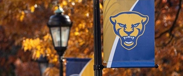Pitt flag in front of fall leaves
