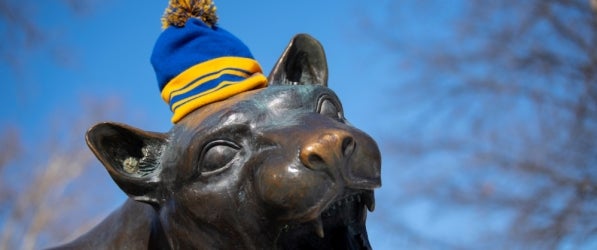 Panther statue wearing a beanie