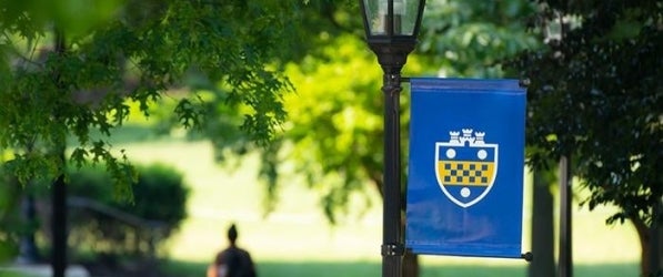 Pitt flag on campus