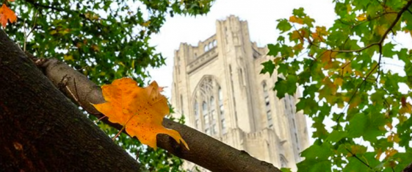 Cathedral of Learning