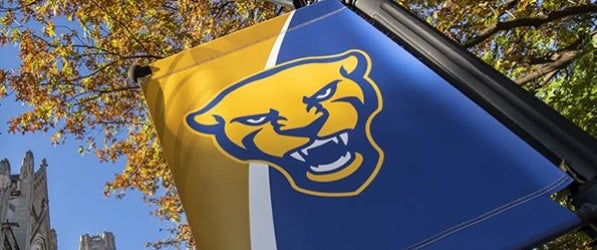 Pitt panther banner