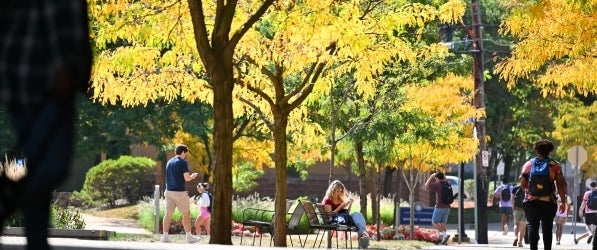 Fall on campus