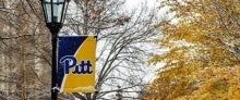 Pitt flag on a lamppost during winter