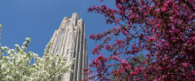 The Cathedral of Learning