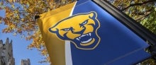 Pitt panther banner