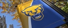 Pitt panther banner on light post